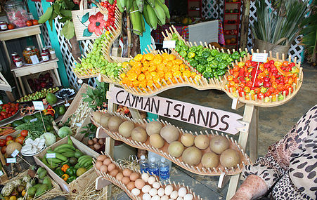 The fourteenth Annual Caribbean Week of Agriculture (CWA), one of the Caribbean’s most significant Agriculture focused events,